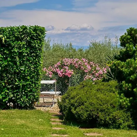 Luxury Balu 5 Apartmán *